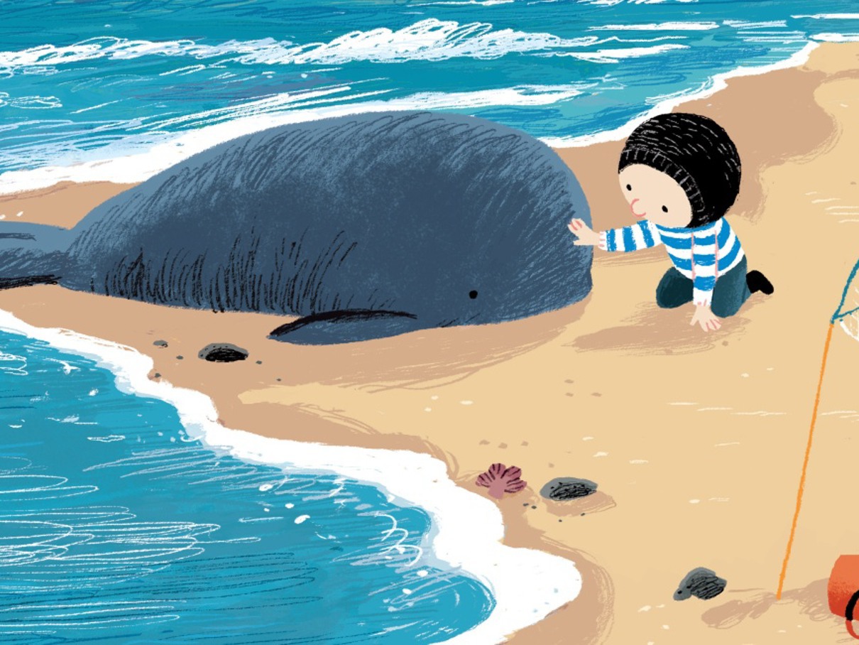 26 en 28 november: kleine walvis