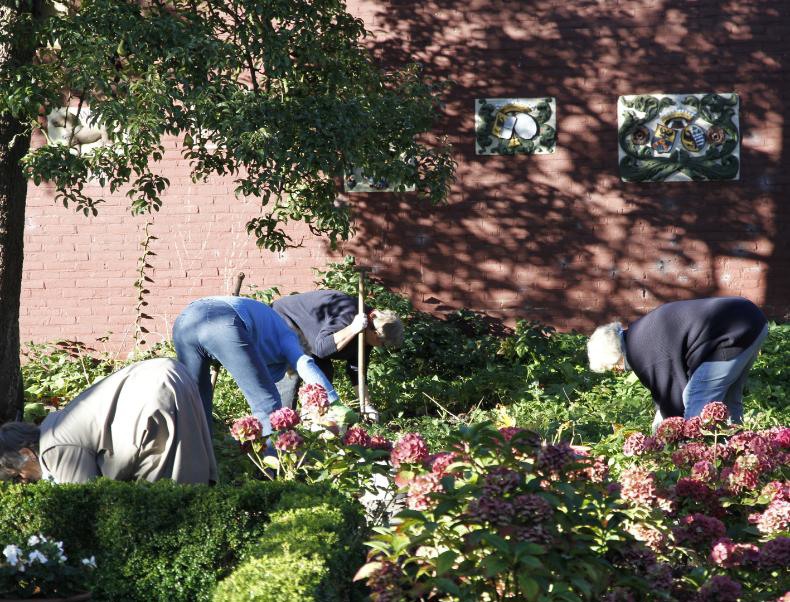 onze vrijwilligers_0