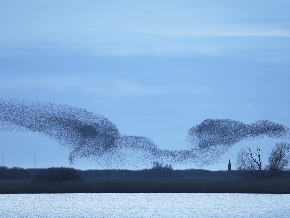 Siel fan Súdwest – 100 dagen kunst, landschap en verhalen