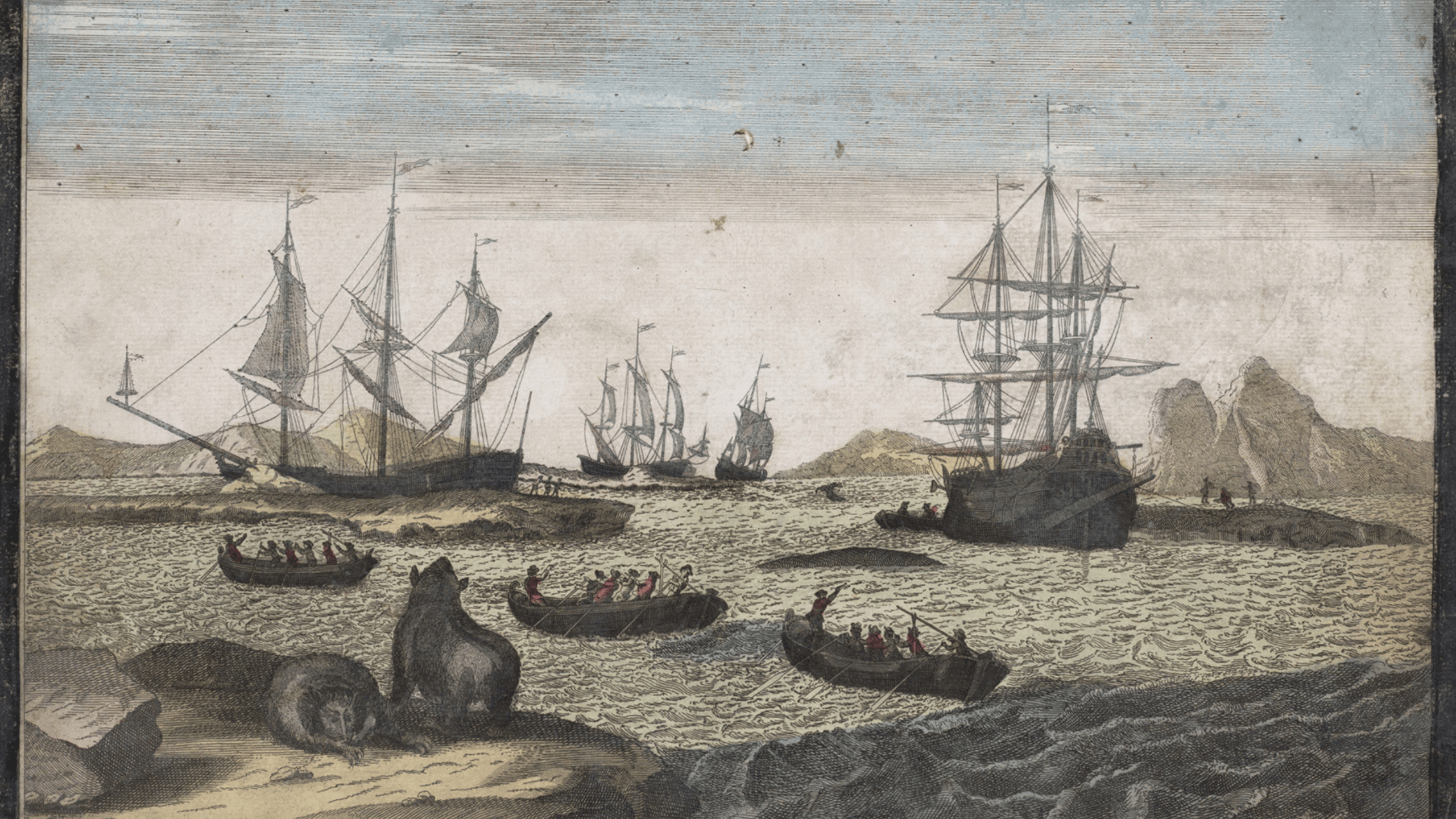 Header Week van de walvis 2025