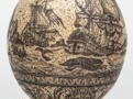 21 t/m 30 november: week van de walvis