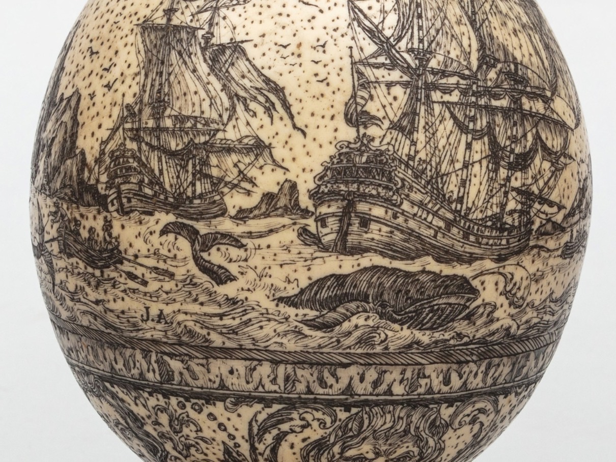 21 t/m 30 november: week van de walvis