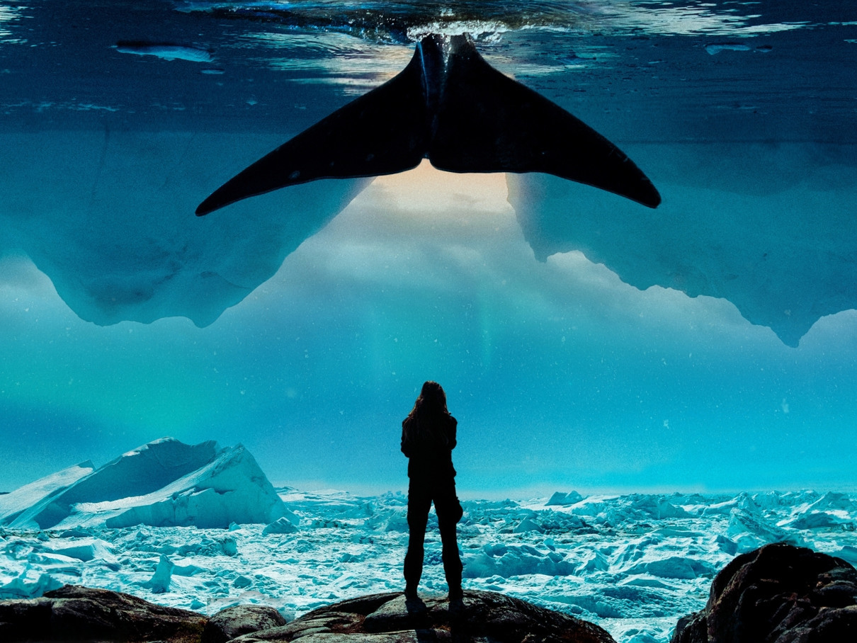 29 november: filmarrangement arctic mirage